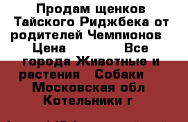 Продам щенков Тайского Риджбека от родителей Чемпионов › Цена ­ 30 000 - Все города Животные и растения » Собаки   . Московская обл.,Котельники г.